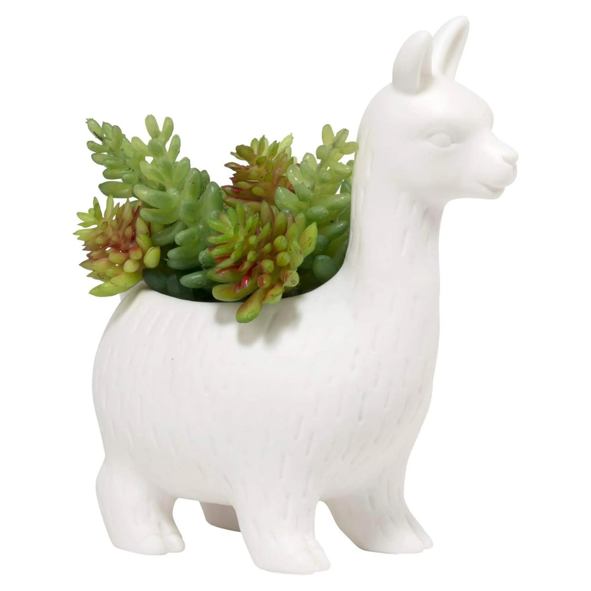 llama pot planter 6" Porcelain Lloyd The Llama Planter By Kikkerland