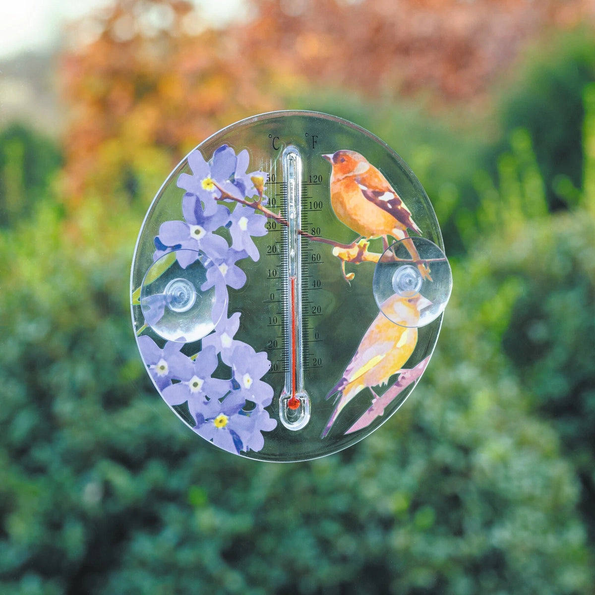 Colorful Bird & Flower Outdoor Thermometer - Charming Window Decor