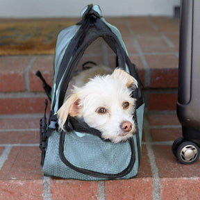 Paws & Pals Pet Travel Cozy Commuter – Soft Padded Shoulder Tote