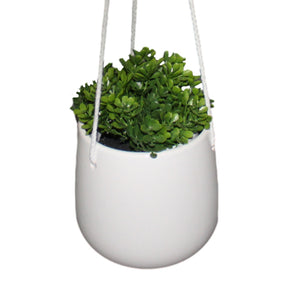 Ceramic 5” Hanging Planter Indoor Plant Holder With Rope Hanger