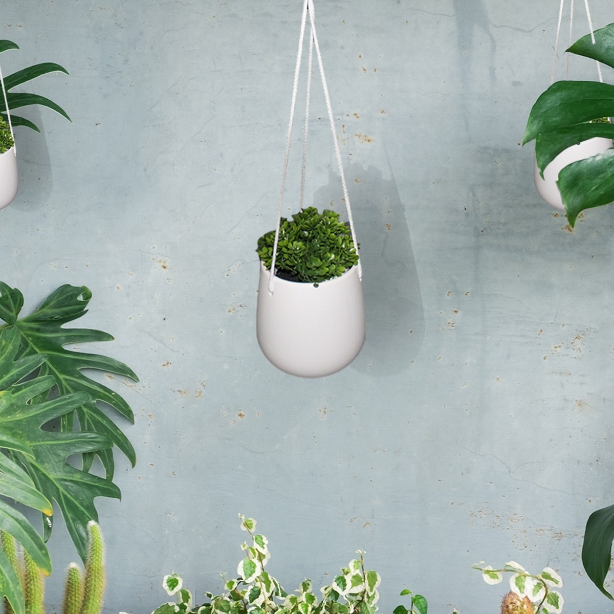 Ceramic 5” Hanging Planter Indoor Plant Holder With Rope Hanger