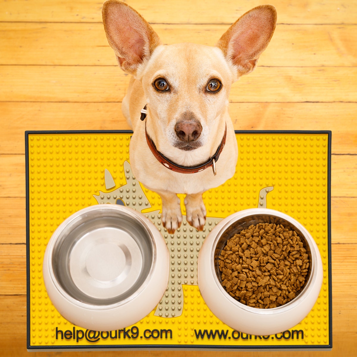 Round Pet Slow Feeder Mat Dog Licking Mat Washable Dog Food Plate