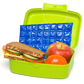 Freez Pak Ice Blanket – Flexible Reusable Ice Pack Mat For Foods