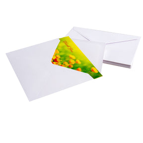 60ct Blank Thank You Cards & Envelopes By Designer Greetings