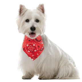 3pk Bandana Dog Collar Accessory – Classic Paisley Pet Bibs (Medium/Large)