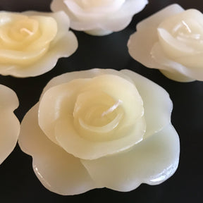 20pk Floating Roses Ivory Wax Candles - Light Gardenia Scent