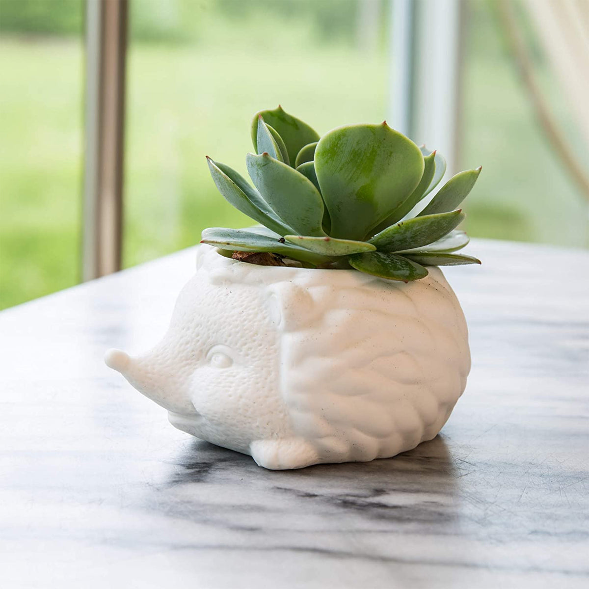 Kikkerland Prickles The Hedgehog Porcelain Mini Planter