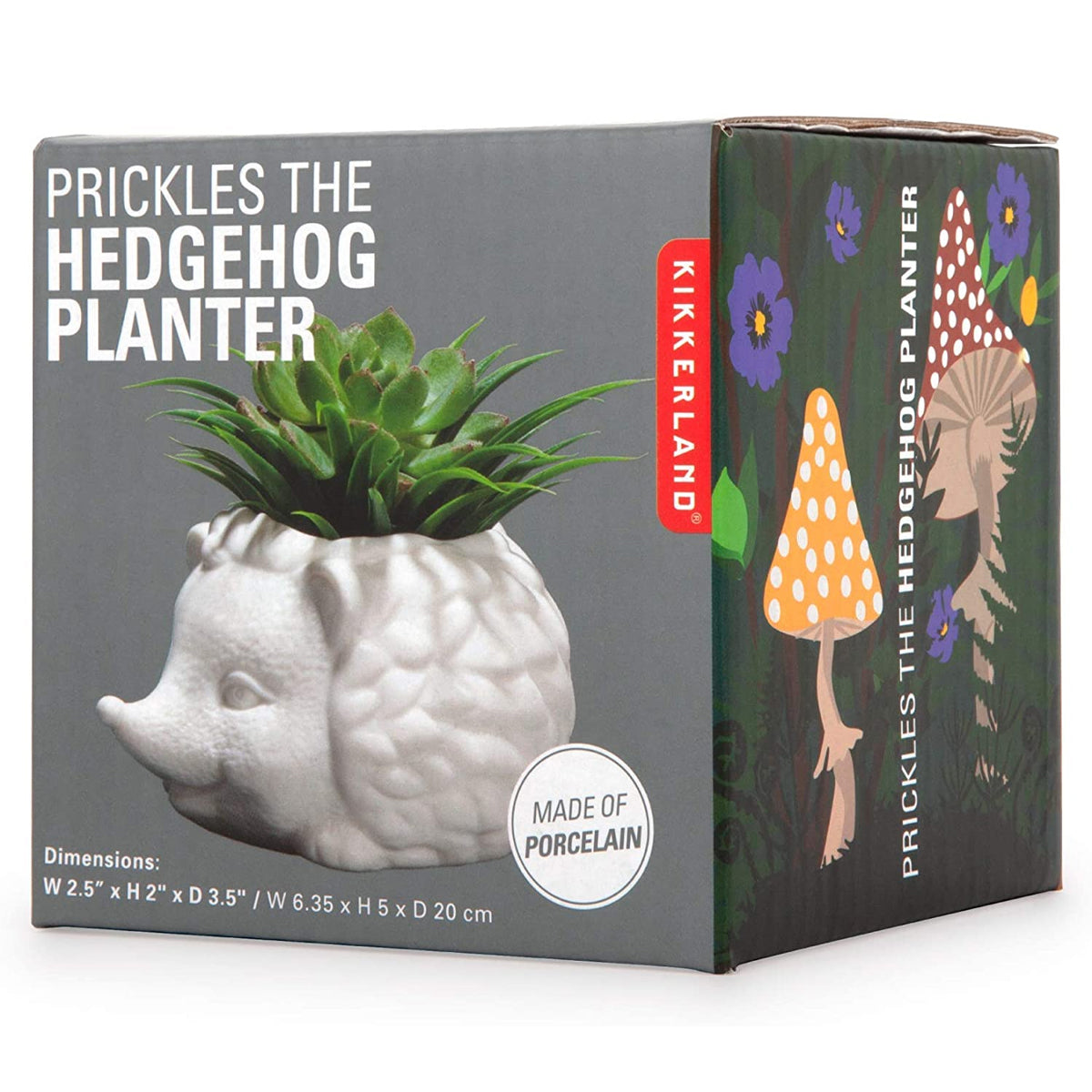 Kikkerland Prickles The Hedgehog Porcelain Mini Planter